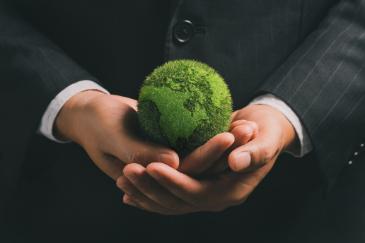 Embracing Sustainability