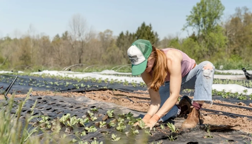Challenges to overcome in Regenerative Agriculture