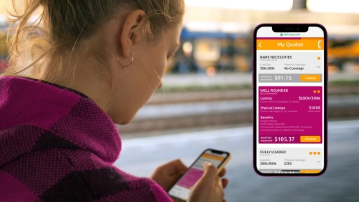 Customer Using Mapfre Verti User Interface